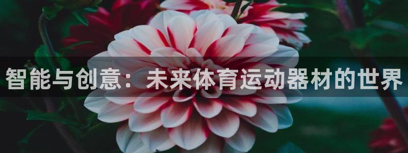 凯捷体育官方：智能与创意：未来体育运动器材的世界