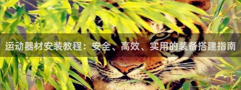 凯捷体育联系电话：运动器材安装教程：安全、高效、实用