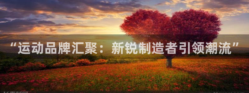 凯捷体育平台注册要钱吗：“运动品牌汇聚：新锐制造者引
