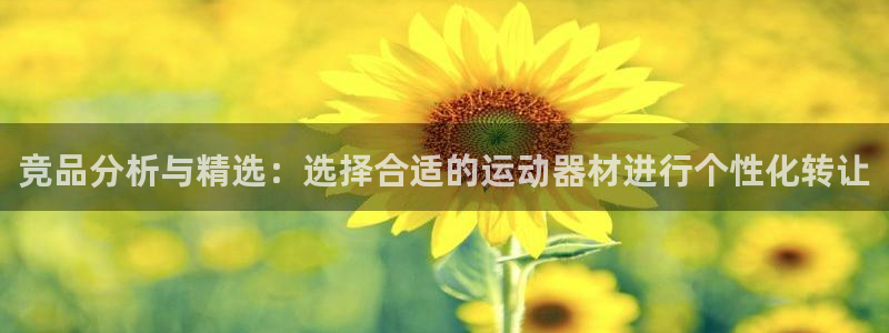 凯捷体育官方：竞品分析与精选：选择合适的运动器材进行