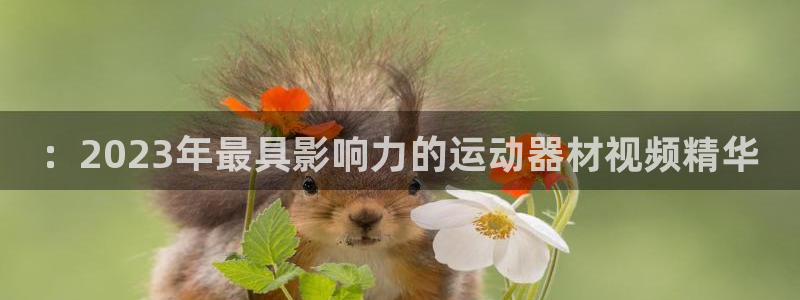 凯捷体育娱乐40996：：2023年最具影响力的运动器材视频