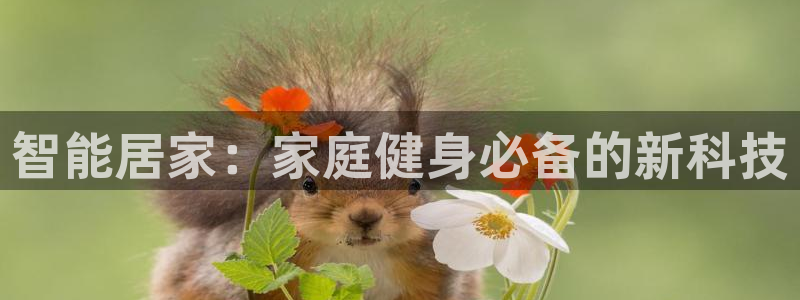凯捷体育集团logo：智能居家：家庭健身必备的新科技