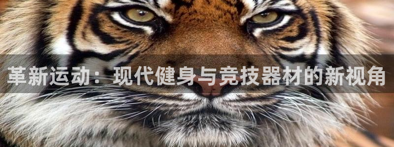 凯捷体育娱乐40996：革新运动：现代健身与竞技器材