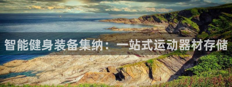 凯捷体育娱乐下载：智能健身装备集纳：一站式运动器材存