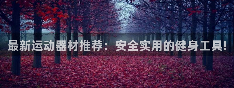 凯捷体育娱乐网站：最新运动器材推荐：安全实用的健身工