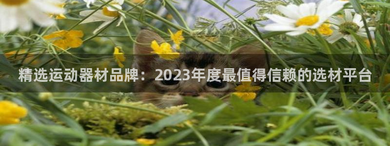 凯捷体育平台APP：精选运动器材品牌：2023年度最值得信赖