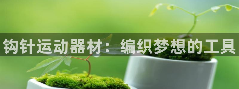 凯捷体育神州：钩针运动器材：编织梦想的工具