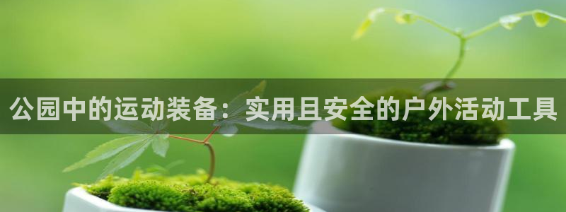 凯捷体育是干嘛的公司：公园中的运动装备：实用且安全的