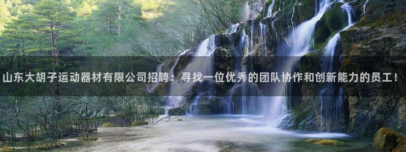 凯捷体育平台是正规平台吗知乎：山东大胡子运动器材有限