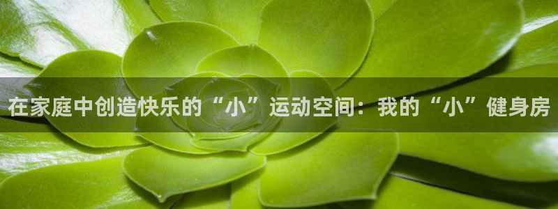 凯捷体育平台注册：在家庭中创造快乐的“小”运动空间：