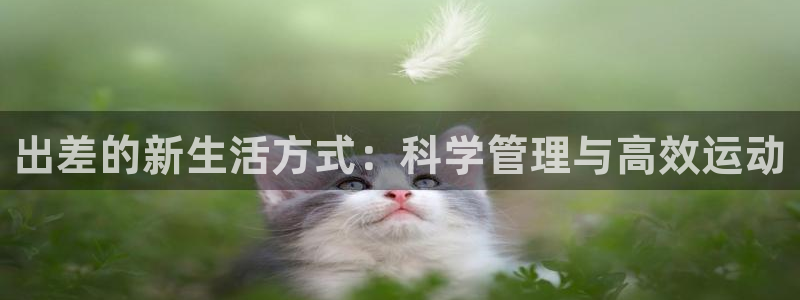 凯捷体育集团E.ON：出差的新生活方式：科学管理与高