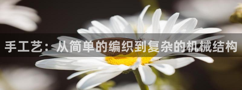 凯捷体育招商电话号码是多少啊：手工艺：从简单的编织到