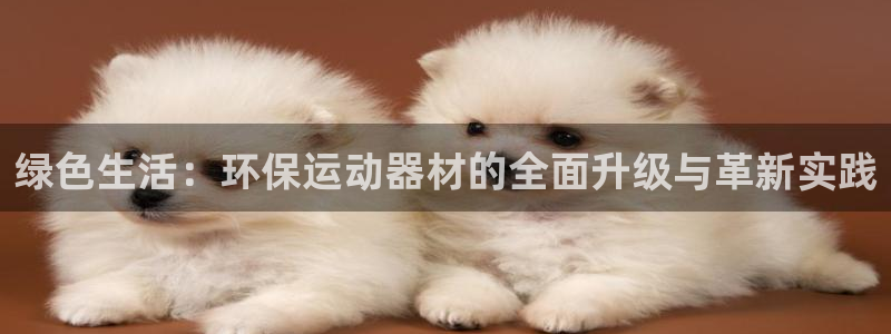 凯捷体育集团E.ON：绿色生活：环保运动器材的全面升