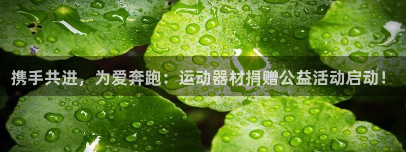 意昂集团官网：携手共进，为爱奔跑：运动器材捐赠公益活动启动！