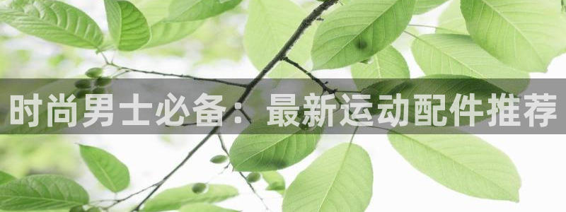 意昂集团官网：时尚男士必备：最新运动配件推荐