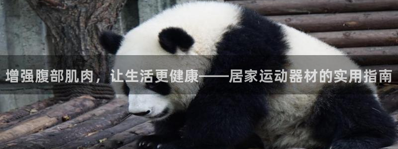 凯捷体育集团简介：增强腹部肌肉，让生活更健康——居家