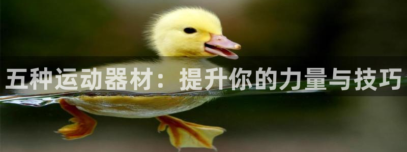 凯捷体育娱乐：五种运动器材：提升你的力量与技巧