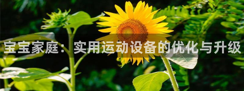 德国凯捷体育集团：宝宝家庭：实用运动设备的优化与升级