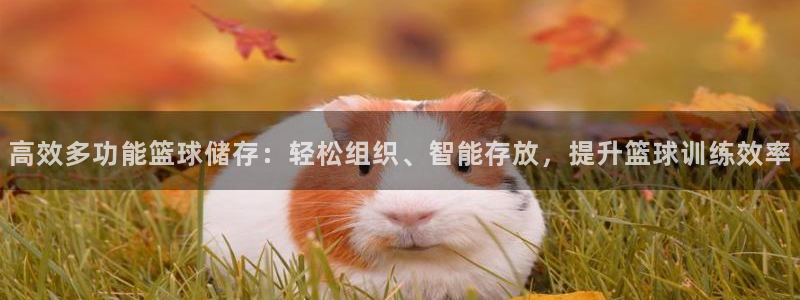 凯捷体育官方：高效多功能篮球储存：轻松组织、智能存放