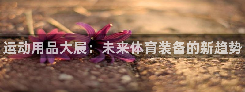 凯捷体育招商电话号码是多少号：运动用品大展：未来体育
