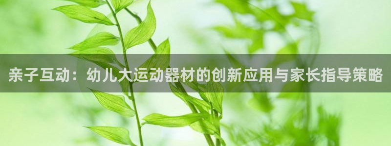 凯捷体育是干嘛的公司