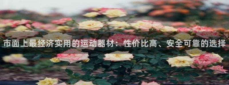 凯捷体育开户：市面上最经济实用的运动器材：性价比高、