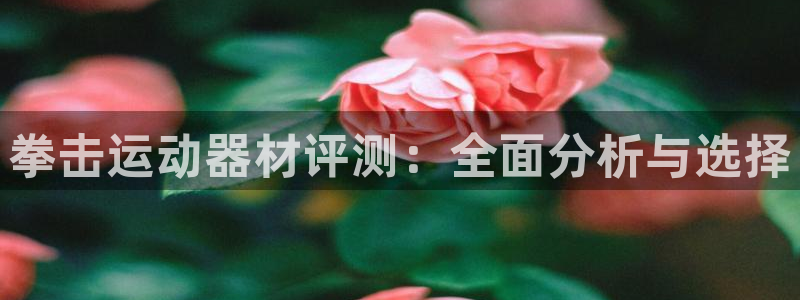 凯捷体育招商电话地址：拳击运动器材评测：全面分析与选
