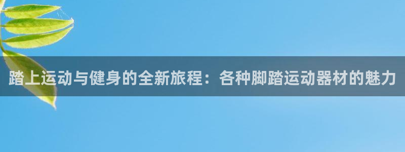凯捷体育是干嘛的公司