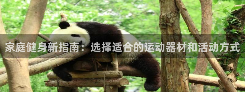 凯捷体育招商电话号码：家庭健身新指南：选择适合的运动