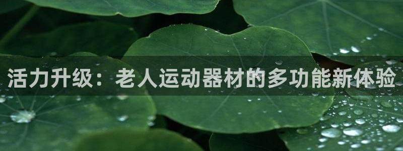 凯捷体育平台注册要钱吗是真的吗：活力升级：老人运动器