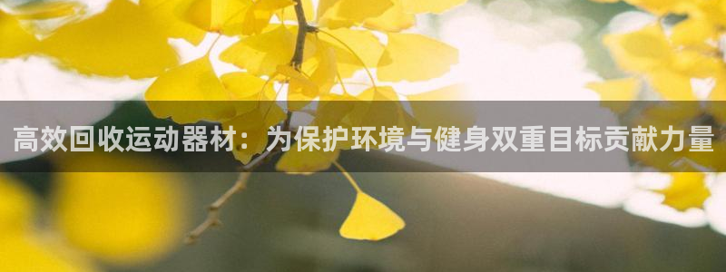 凯捷体育集团官网首页：高效回收运动器材：为保护环境与