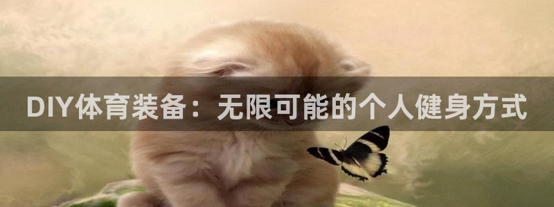 凯捷体育平台注册流程视频：DIY体育装备：无限可能的个人健身