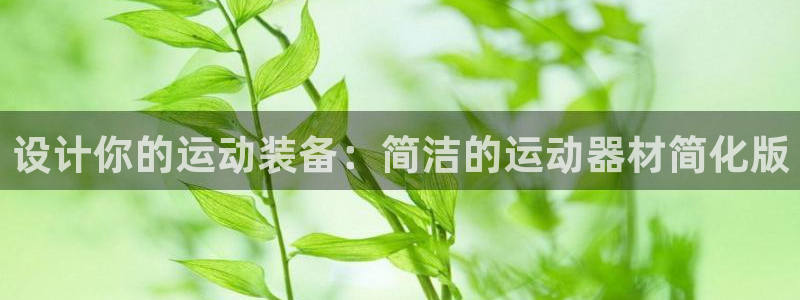凯捷体育平台APP：设计你的运动装备：简洁的运动器材简化版