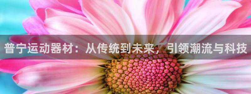凯捷体育平台是正规平台吗安全吗：普宁运动器材：从传统