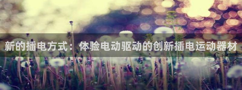 凯捷体育平台是正规平台吗知乎：新的插电方式：体验电动