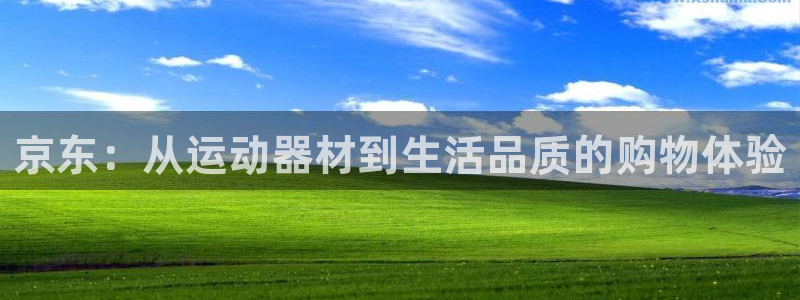凯捷体育集团简介：京东：从运动器材到生活品质的购物体