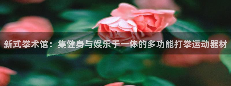 凯捷体育娱乐是那个系列的台子：新式拳术馆：集健身与娱