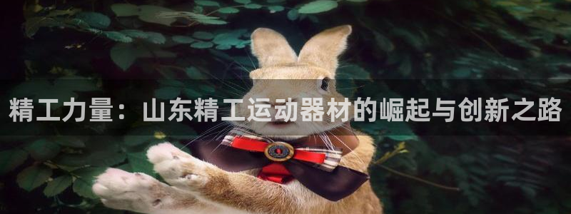 凯捷体育代理：精工力量：山东精工运动器材的崛起与创新