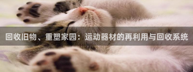 凯捷体育平台注册：回收旧物、重塑家园：运动器材的再利用与回收