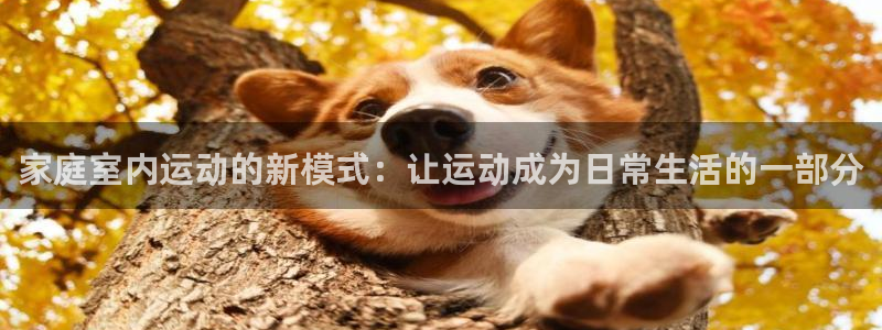 凯捷体育娱乐40996