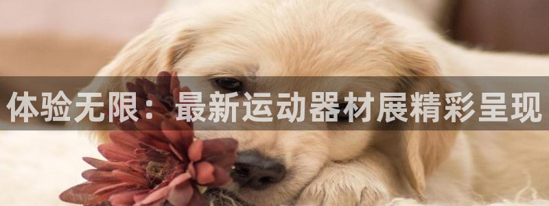 凯捷体育神州：体验无限：最新运动器材展精彩呈现