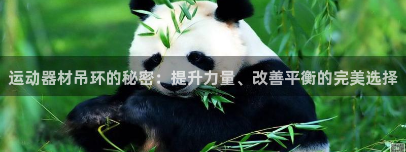 凯捷体育平台是正规平台吗知乎：运动器材吊环的秘密：提
