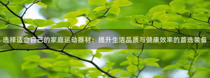 凯捷体育集团logo：选择适合自己的家庭运动器材：提