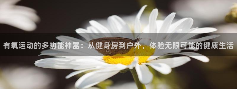 凯捷体育平台注册流程图：有氧运动的多功能神器：从健身