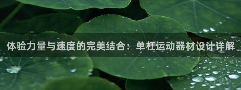 凯捷体育集团E.ON：体验力量与速度的完美结合：单杠