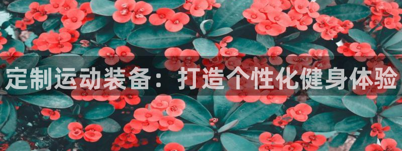 凯捷体育招商电话号码是多少啊：定制运动装备：打造个性化健身体