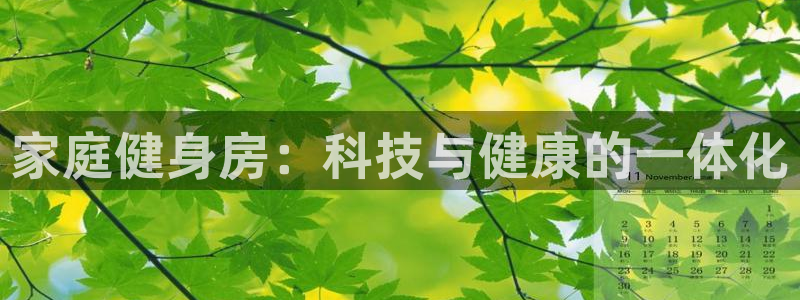 凯捷体育平台注册：家庭健身房：科技与健康的一体化