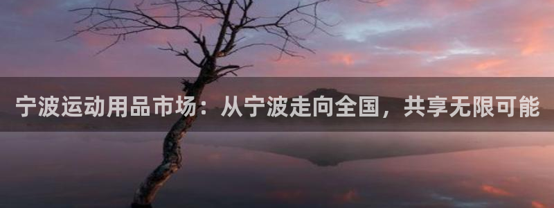 凯捷体育平台是正规平台吗安全吗：宁波运动用品市场：从宁波走向