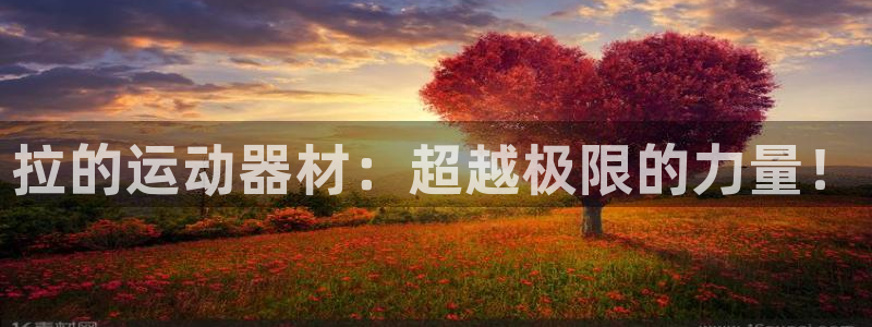 凯捷体育集团简介：拉的运动器材：超越极限的力量！