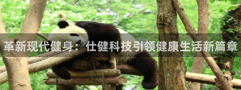 凯捷体育平台注册流程视频：革新现代健身：仕健科技引领